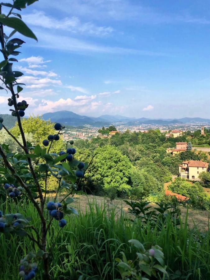 Foresteria Antica Bastia B&B Bergamo Eksteriør billede